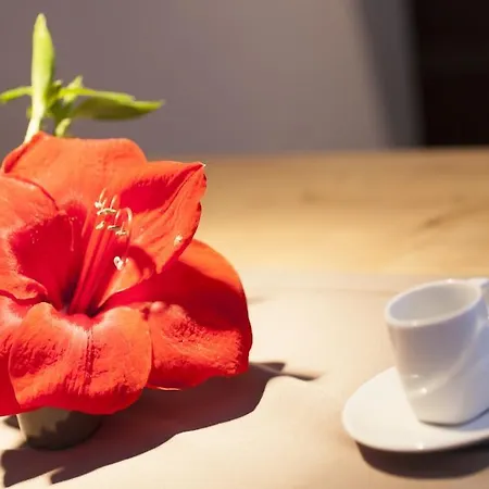 Lejlighed Falkner Sölden