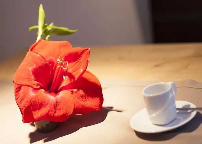 公寓 福克纳公寓 索尔登